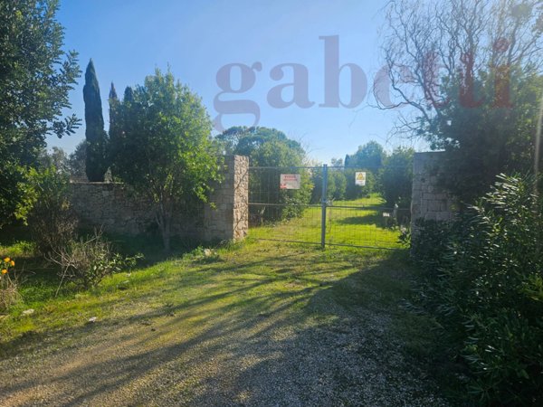 terreno agricolo in vendita a Copertino