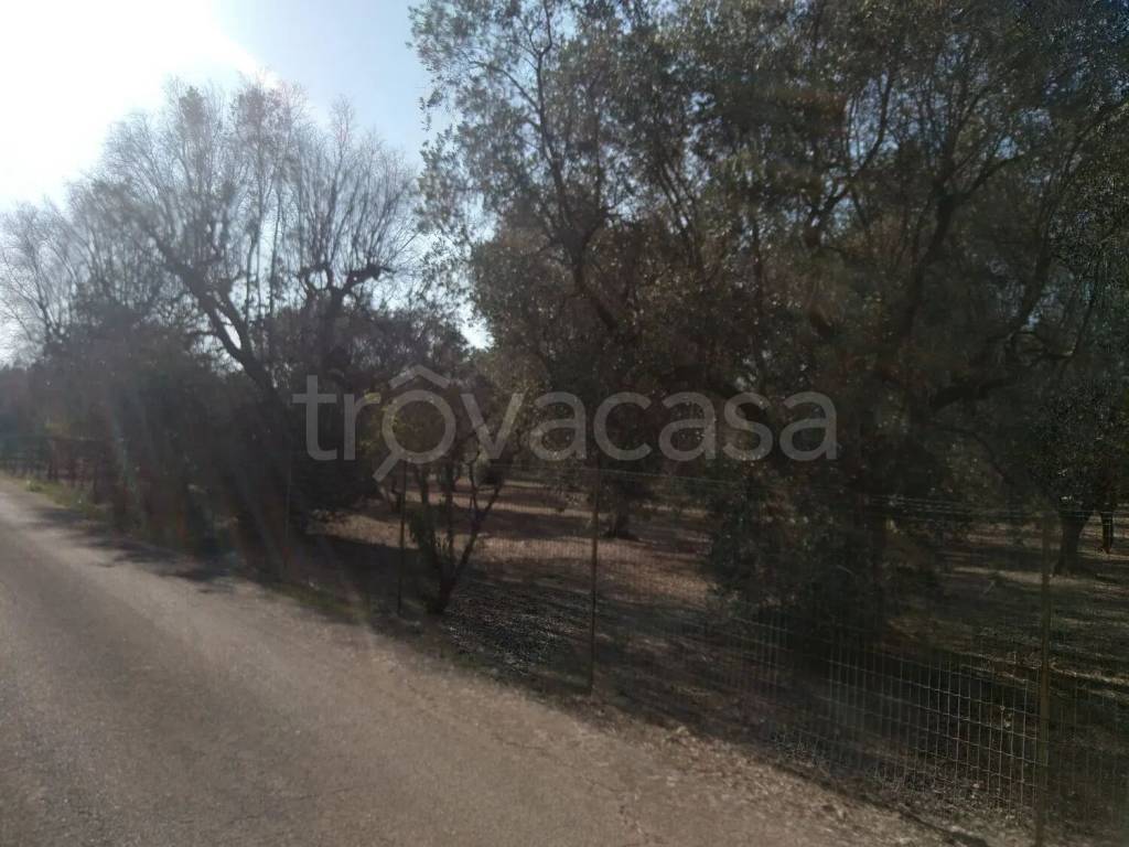 terreno agricolo in vendita a Copertino