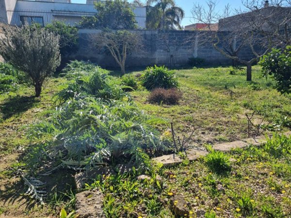 terreno agricolo in vendita a Copertino