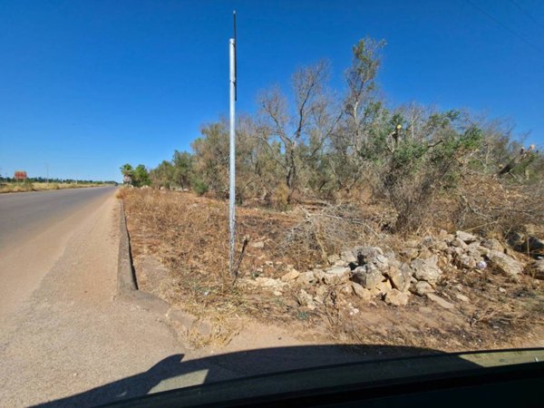 terreno agricolo in vendita a Copertino