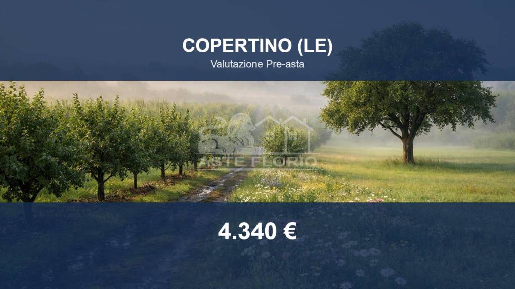 terreno in vendita a Copertino