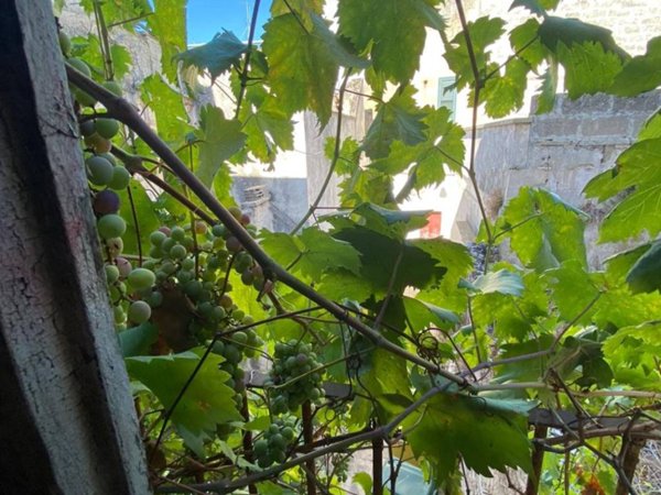 appartamento in vendita a Corigliano d'Otranto