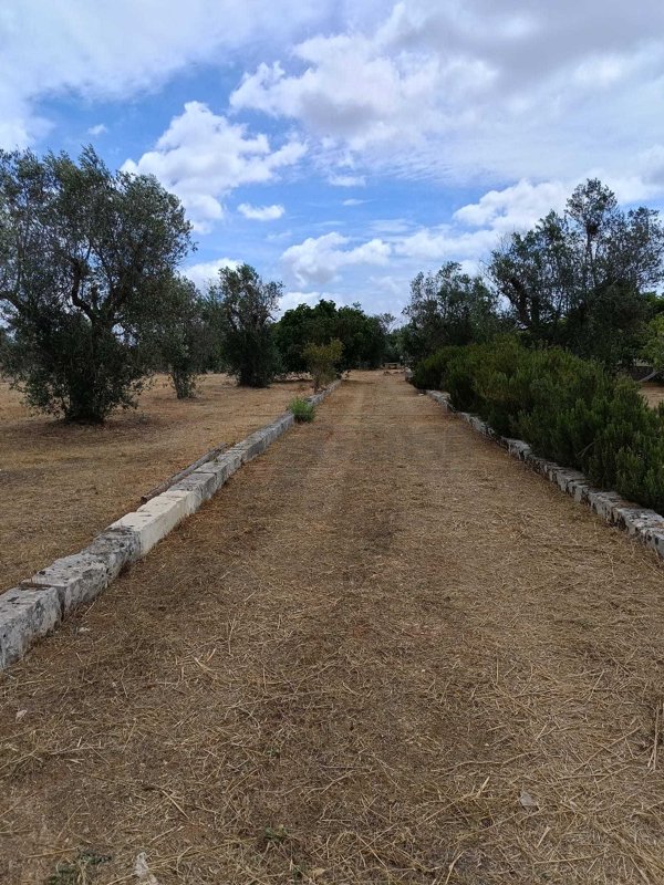 terreno agricolo in vendita a Corigliano d'Otranto