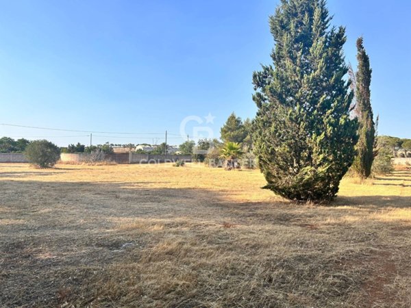 terreno agricolo in vendita a Corigliano d'Otranto