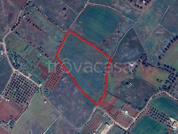 terreno agricolo in vendita a Corigliano d'Otranto