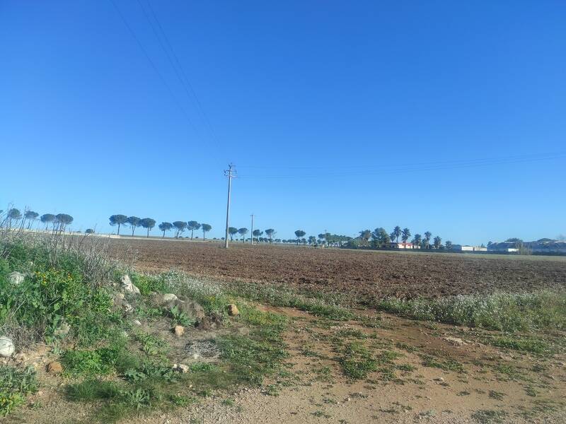 terreno agricolo in vendita a Corigliano d'Otranto