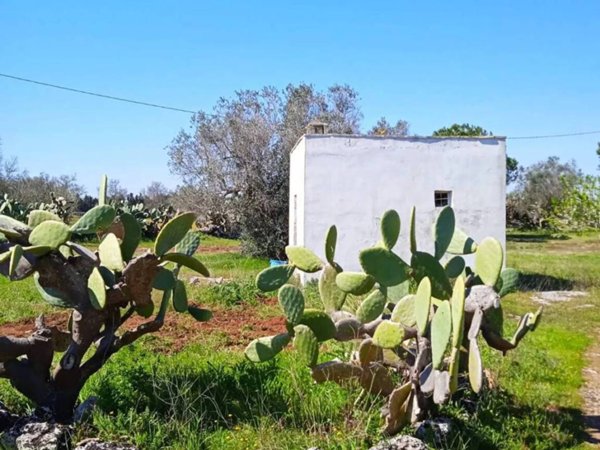 terreno agricolo in vendita a Corigliano d'Otranto
