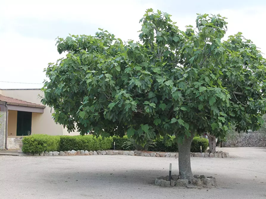 casa indipendente in vendita a Corigliano d'Otranto