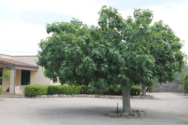 appartamento in vendita a Corigliano d'Otranto