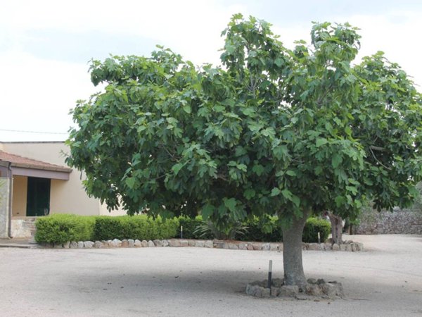 appartamento in vendita a Corigliano d'Otranto