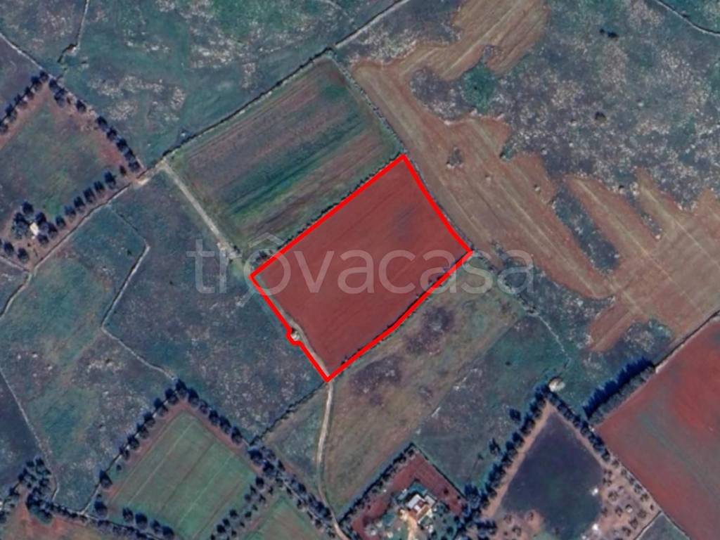 terreno agricolo in vendita a Corigliano d'Otranto