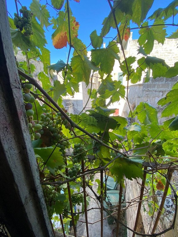 appartamento in vendita a Corigliano d'Otranto