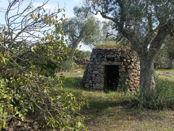 terreno agricolo in vendita a Corigliano d'Otranto