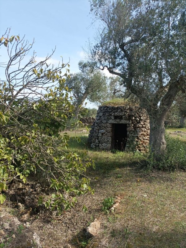 terreno agricolo in vendita a Corigliano d'Otranto