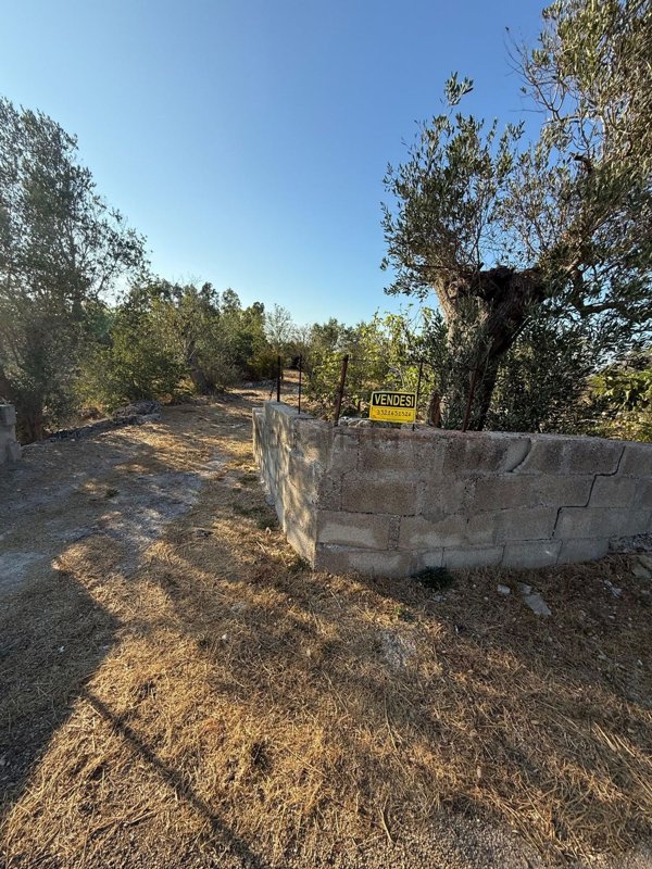 terreno agricolo in vendita a Corigliano d'Otranto