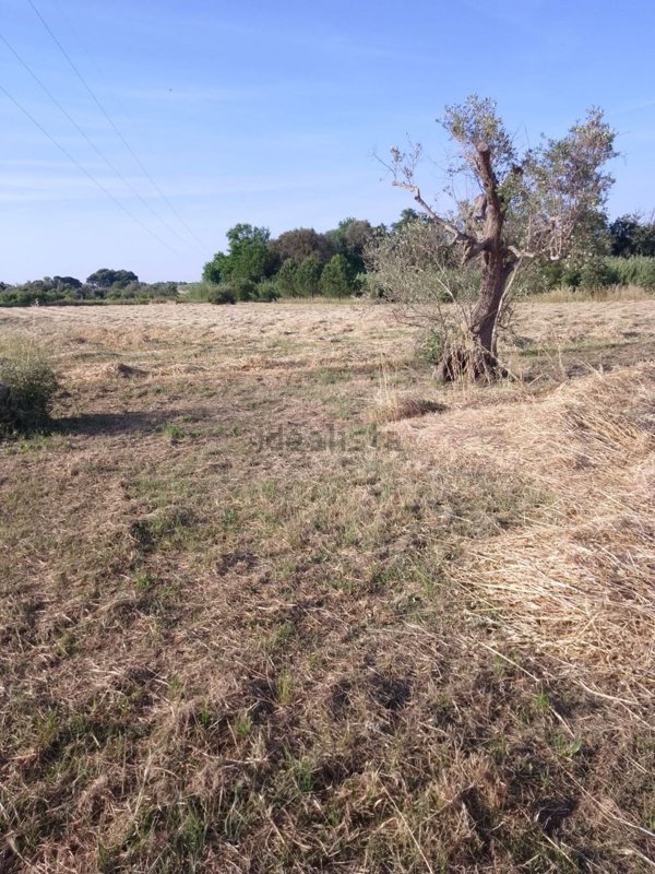 terreno agricolo in vendita a Corigliano d'Otranto