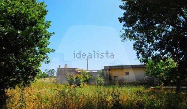 terreno agricolo in vendita a Corsano