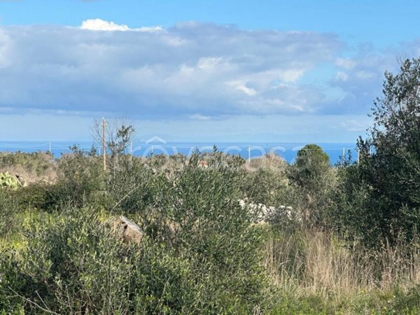 terreno agricolo in vendita a Corsano