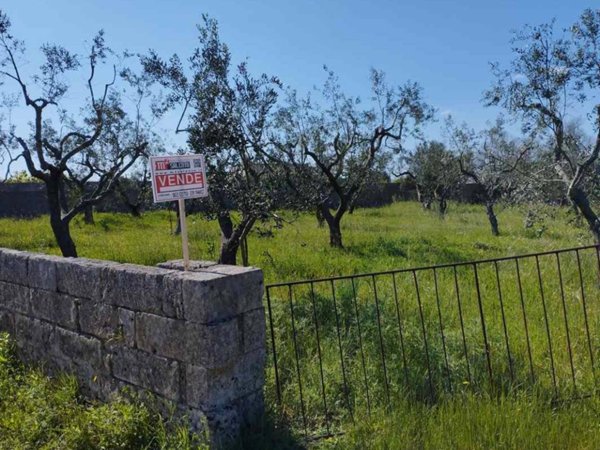 terreno agricolo in vendita a Corsano