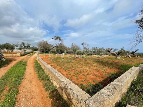 terreno agricolo in vendita a Corsano