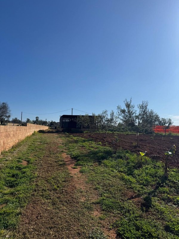 appartamento in vendita a Corsano