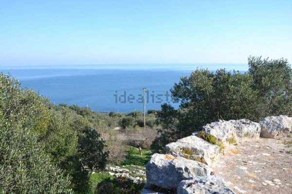 pentavano in vendita a Corsano