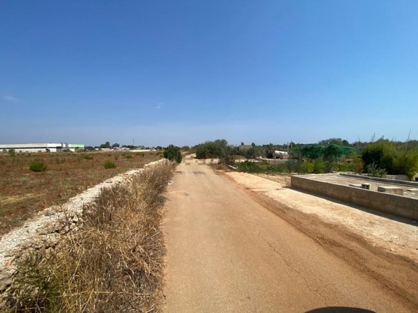 terreno agricolo in vendita a Corsano