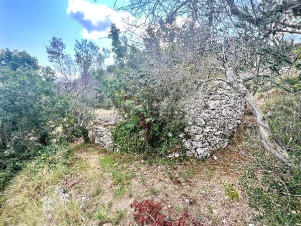 terreno agricolo in vendita a Corsano