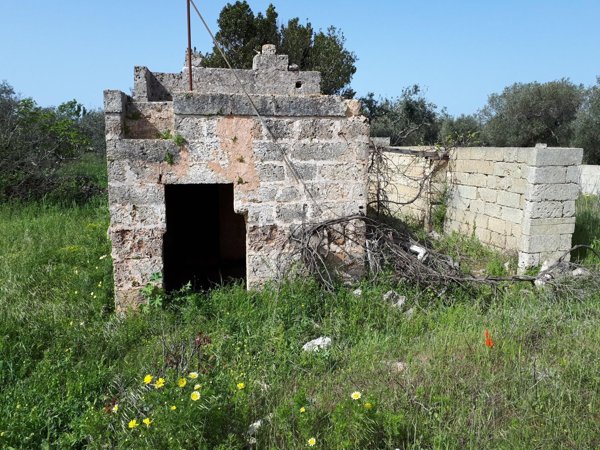 terreno agricolo in vendita a Corsano