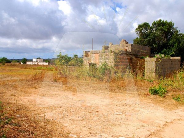 terreno agricolo in vendita a Corsano