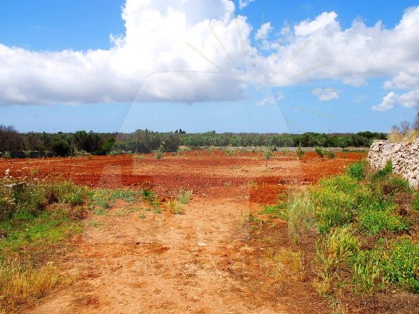 terreno agricolo in vendita a Corsano