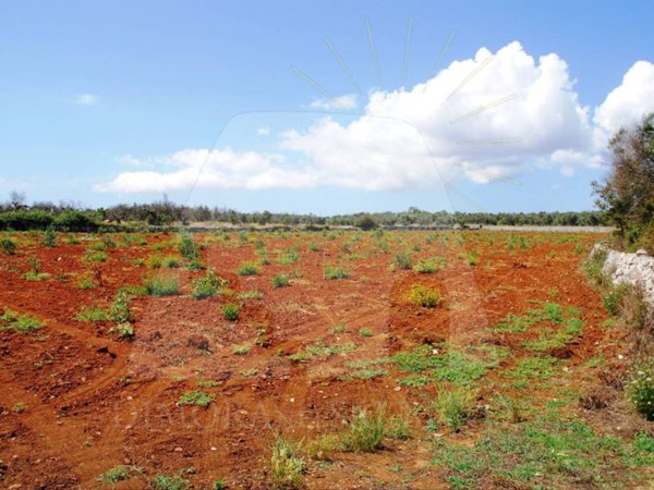 terreno agricolo in vendita a Corsano