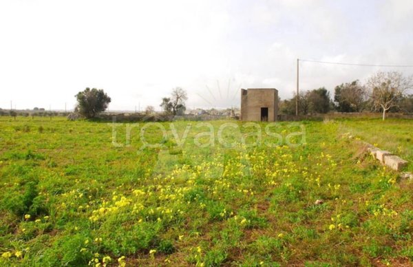 terreno agricolo in vendita a Corsano