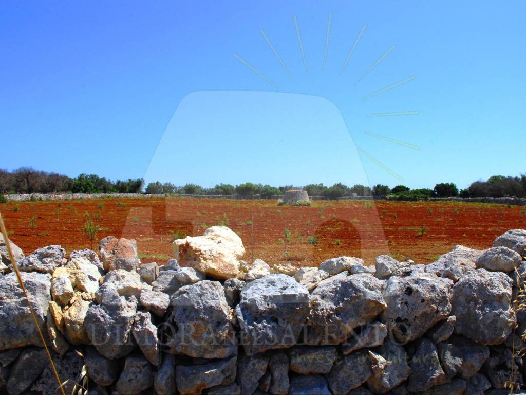 terreno agricolo in vendita a Corsano