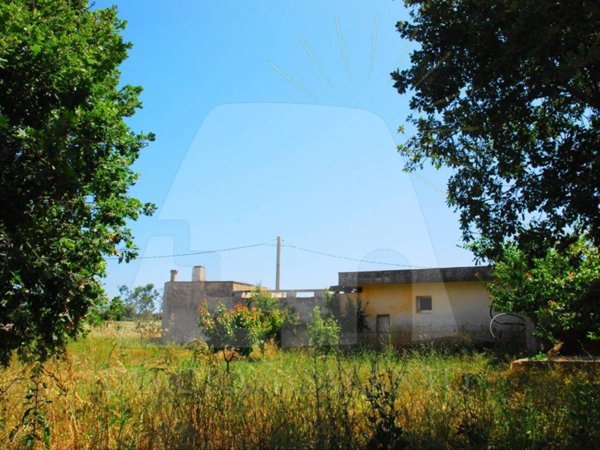 terreno agricolo in vendita a Corsano