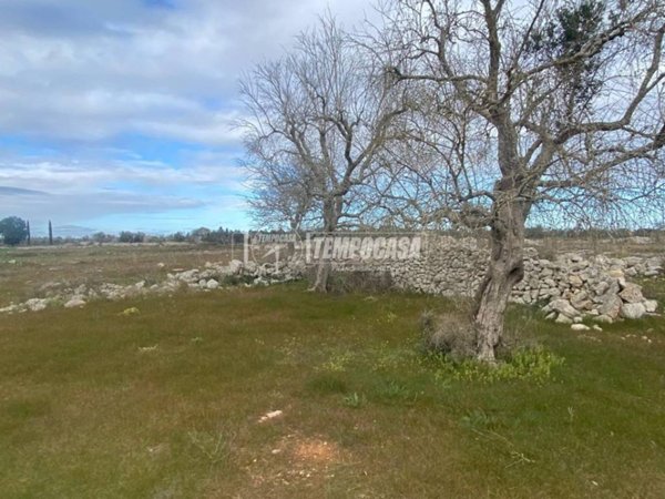 terreno agricolo in vendita a Cursi