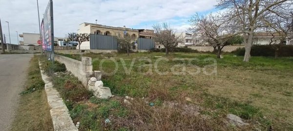 terreno agricolo in vendita a Cursi