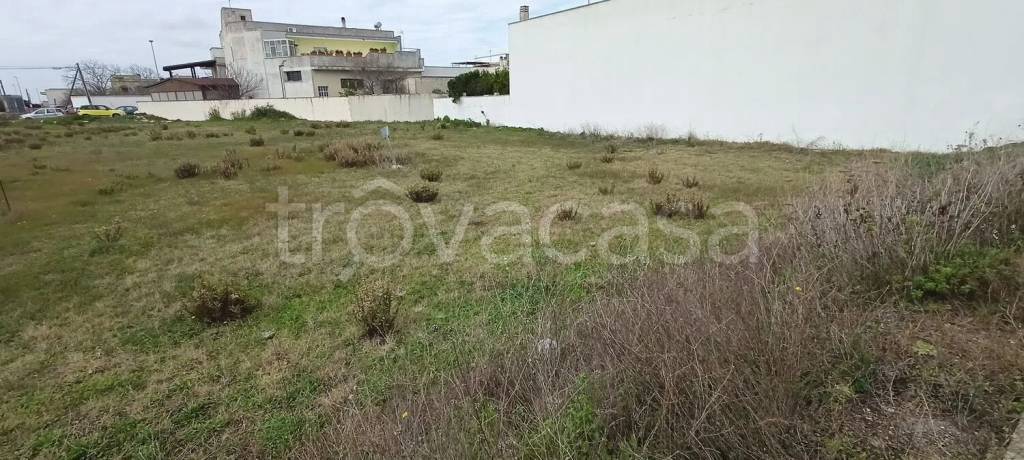 terreno agricolo in vendita a Cursi