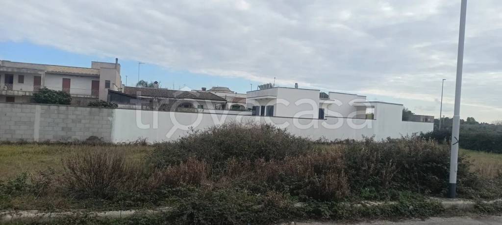 terreno agricolo in vendita a Cursi