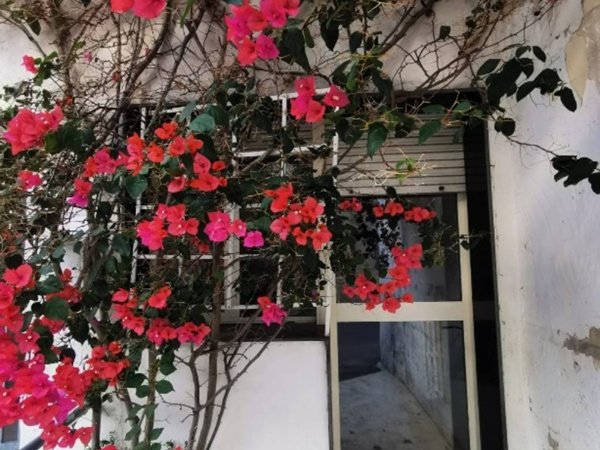 appartamento in vendita a Cursi