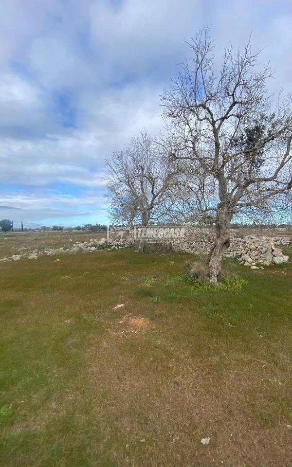 casa indipendente in vendita a Cursi