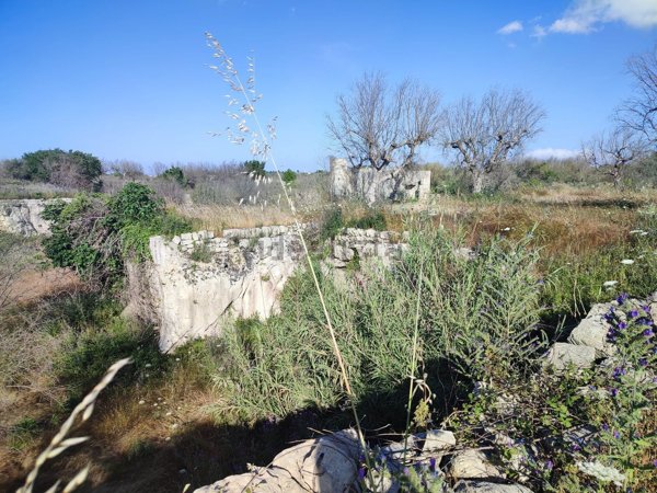 terreno agricolo in vendita a Cursi