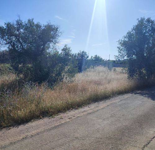 terreno agricolo in vendita a Cursi