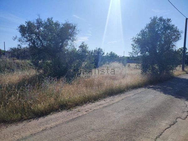terreno in vendita a Cursi