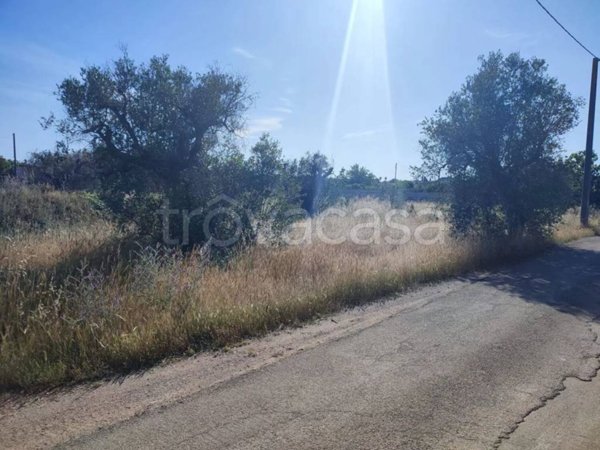 terreno in vendita a Cursi