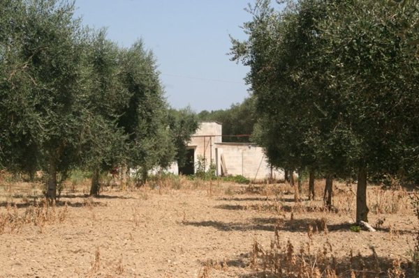 rudere in vendita a Cutrofiano