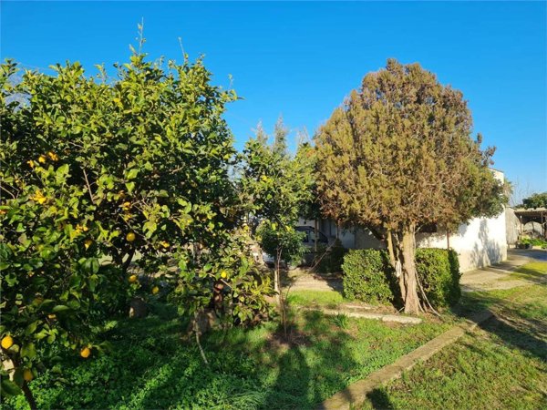 casa indipendente in vendita a Cutrofiano