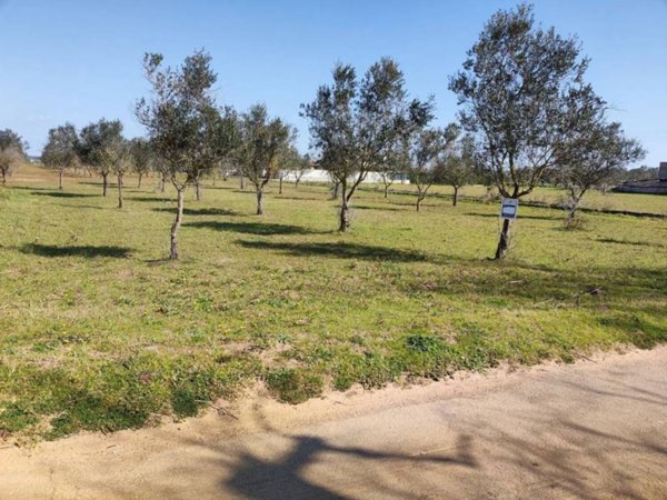 terreno agricolo in vendita a Cutrofiano