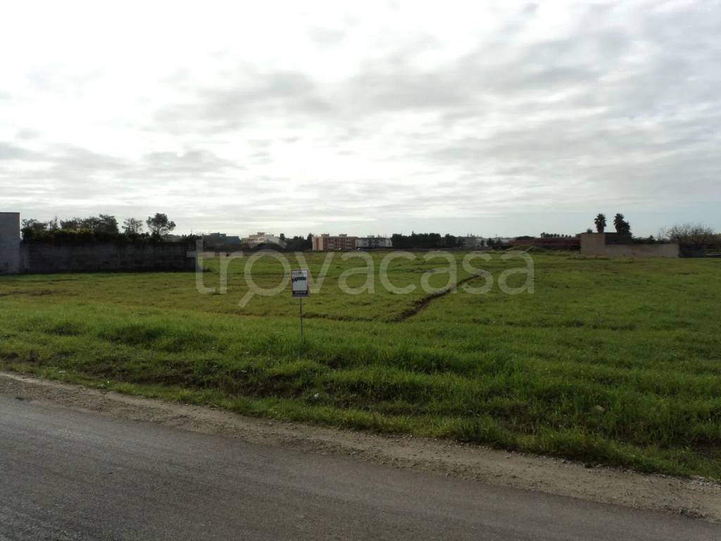 terreno agricolo in vendita a Cutrofiano