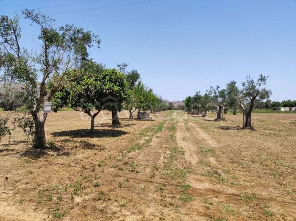 terreno agricolo in vendita a Cutrofiano